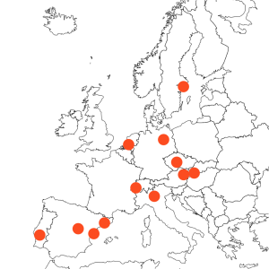 International Management Trainer & Facilitator Europe, Austria, Germany, Switzerland, DACH Region, Spain, Portugal, Iberia, English, German, Spanish